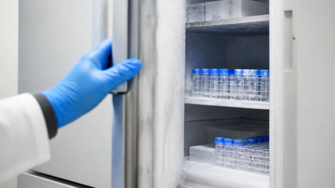 How to Store Research Peptides for Maximum Purity